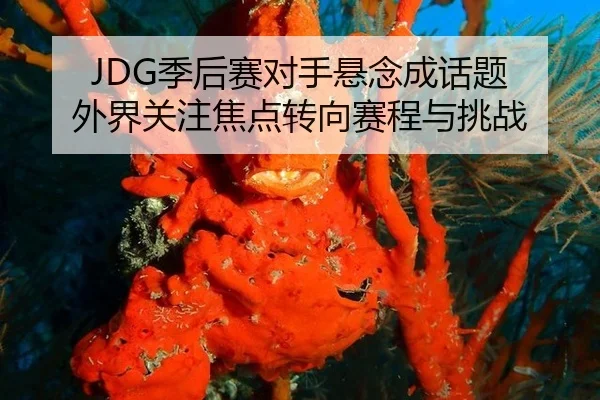 JDG季后赛对手悬念成话题 外界关注焦点转向赛程与挑战